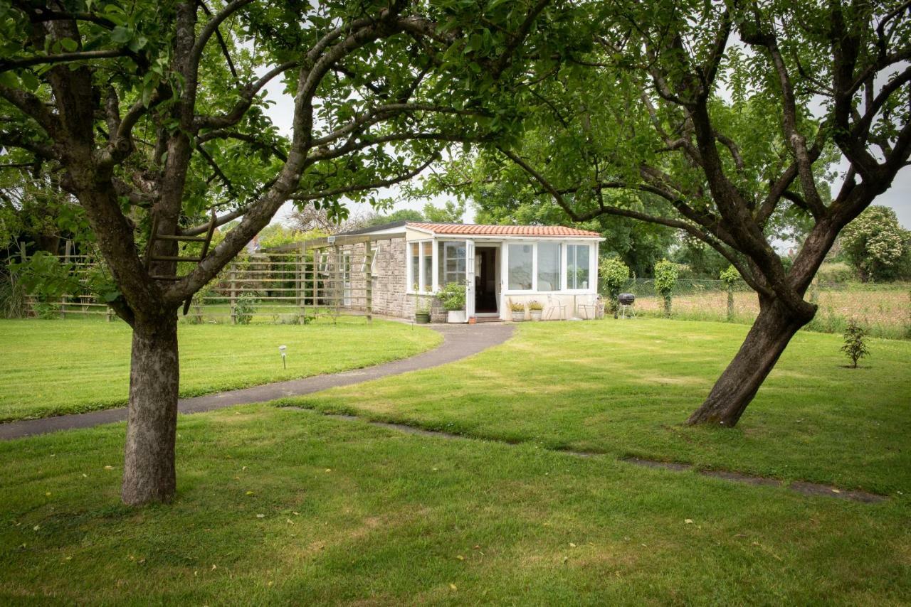 The Studio Somerton  Exterior photo